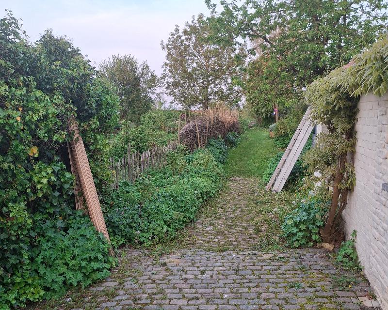 20250417_080132_nat-rn-terrain-305_photo_Vue passage gîte-haie sèche.jpg